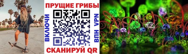 Псилоцибиновые грибы мицелий  darknet формула  Нолинск 